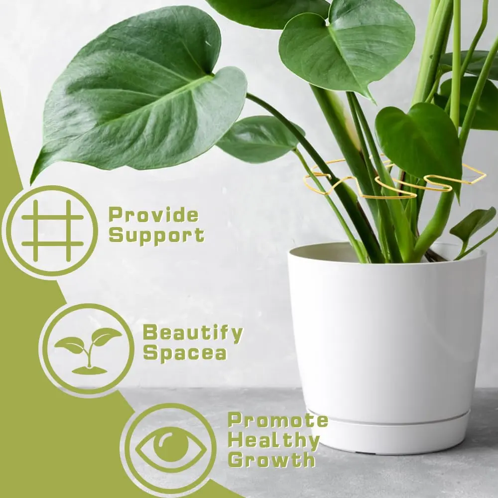 6PCS Turtle Backed Bamboo Plant Support Frame Horticultural Support Frame Flower Pot Monstera Plant Support Frame Decoration