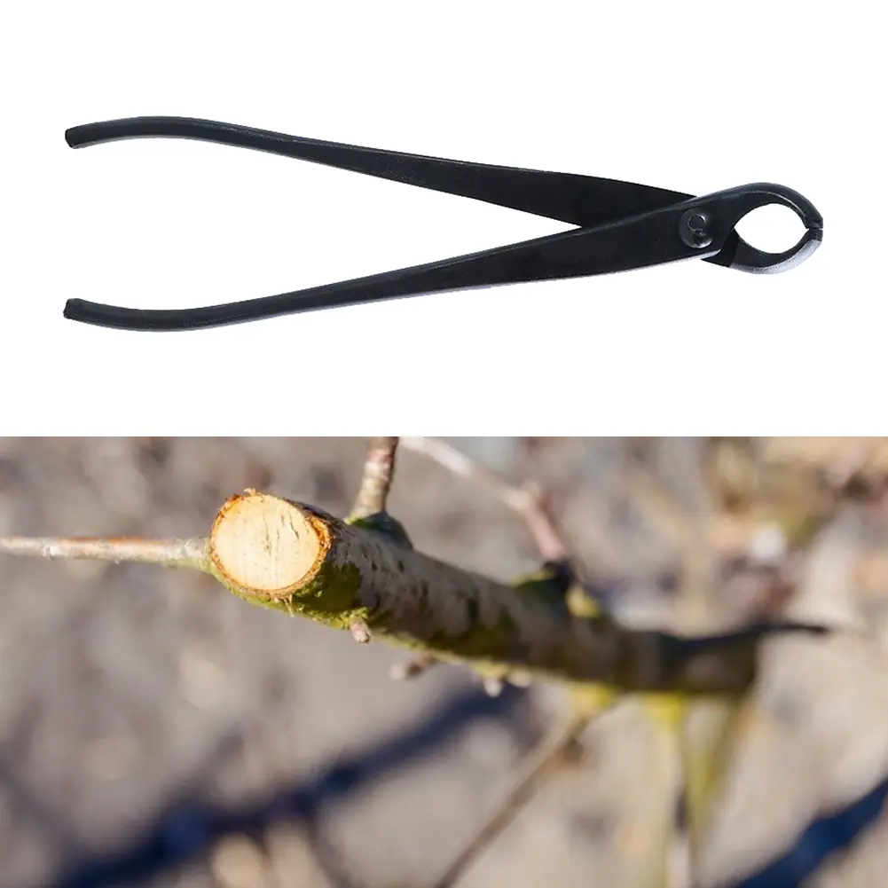 Round Nose Pliers Potted Tree Knots Pruning Pliers Plants Branch Pruner Cutter