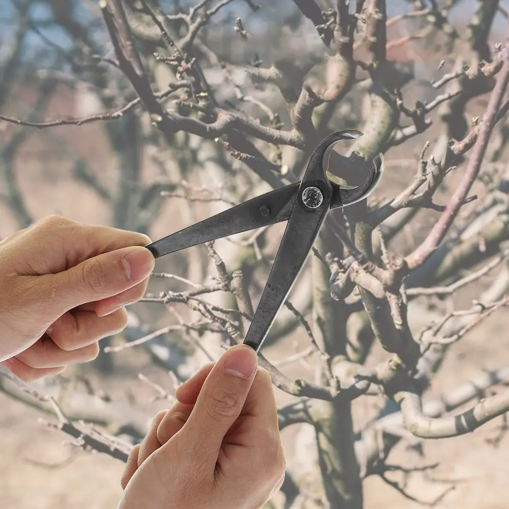 Round Nose Pliers Potted Tree Knots Pruning Pliers Plants Branch Pruner Cutter