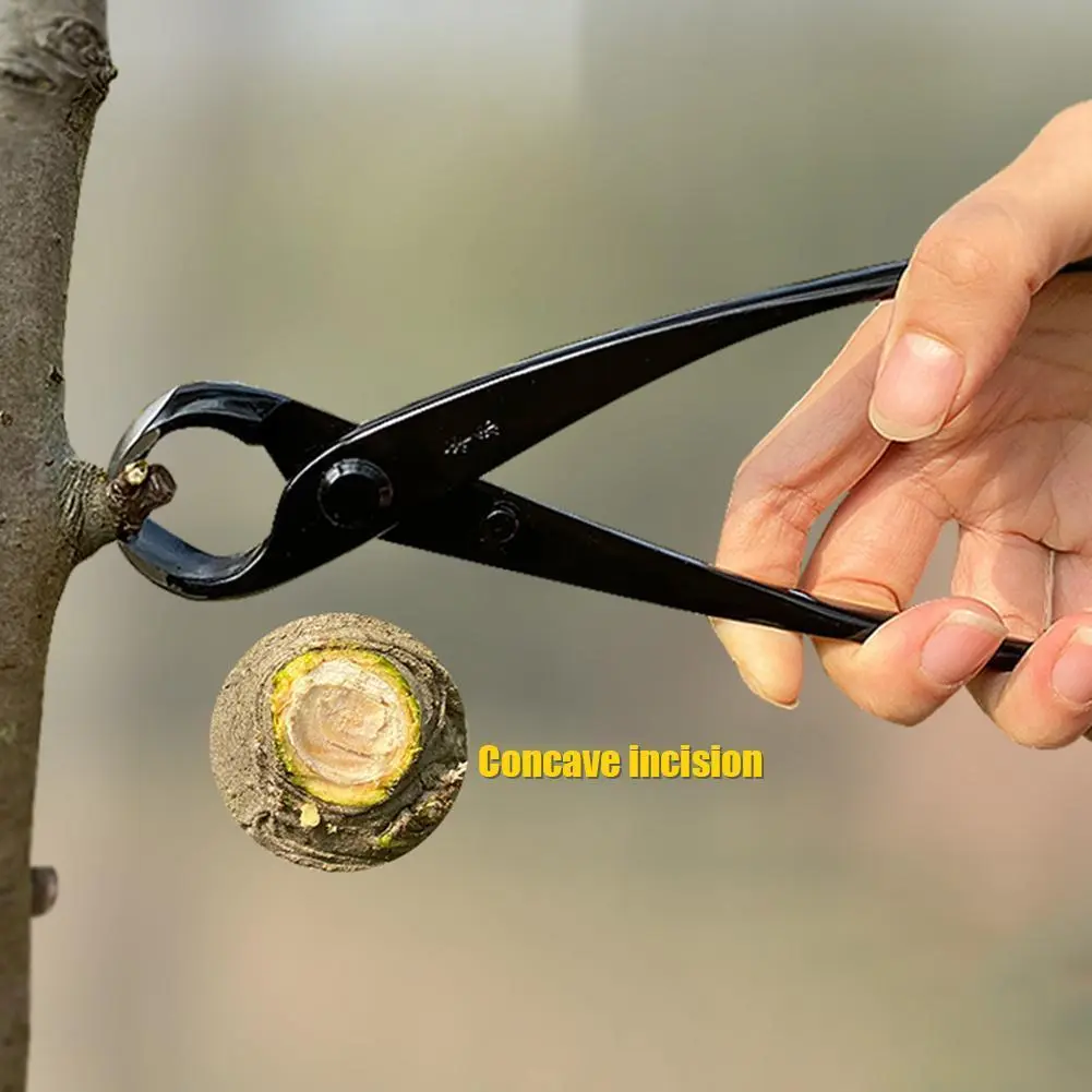 Round Nose Pliers Potted Tree Knots Pruning Pliers Plants Branch Pruner Cutter