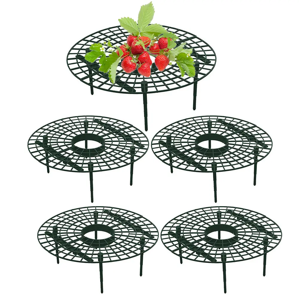 Strawberry Supports with 4 Sturdy Legs Keeping Plant Fruit Stand Strawberry Growing Frame for Protecting Strawberries