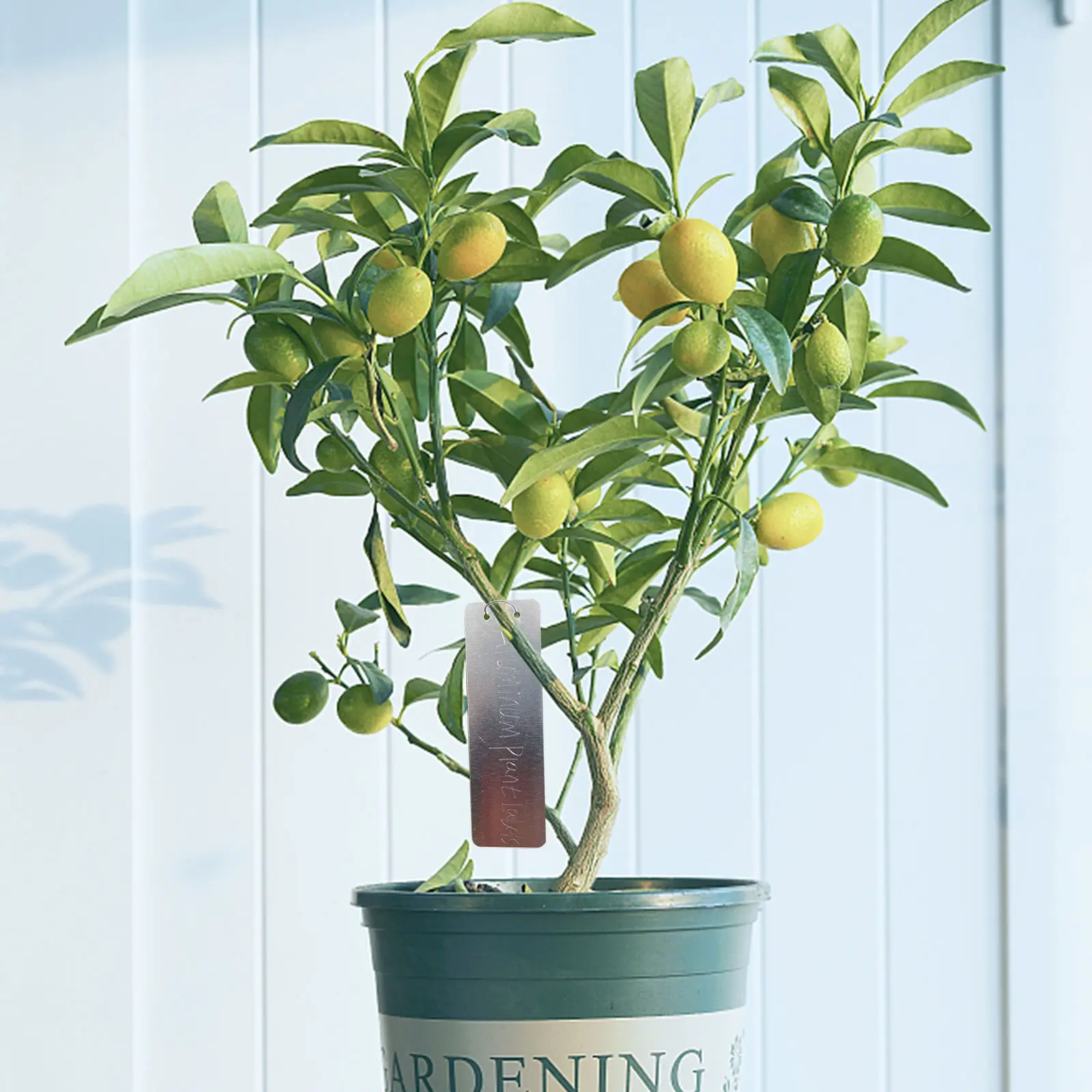 100Pcs Aluminum Plant Label with Metal Wires Plant Name Marker Waterproof UV Resistant for Outdoor Garden Trees Record
