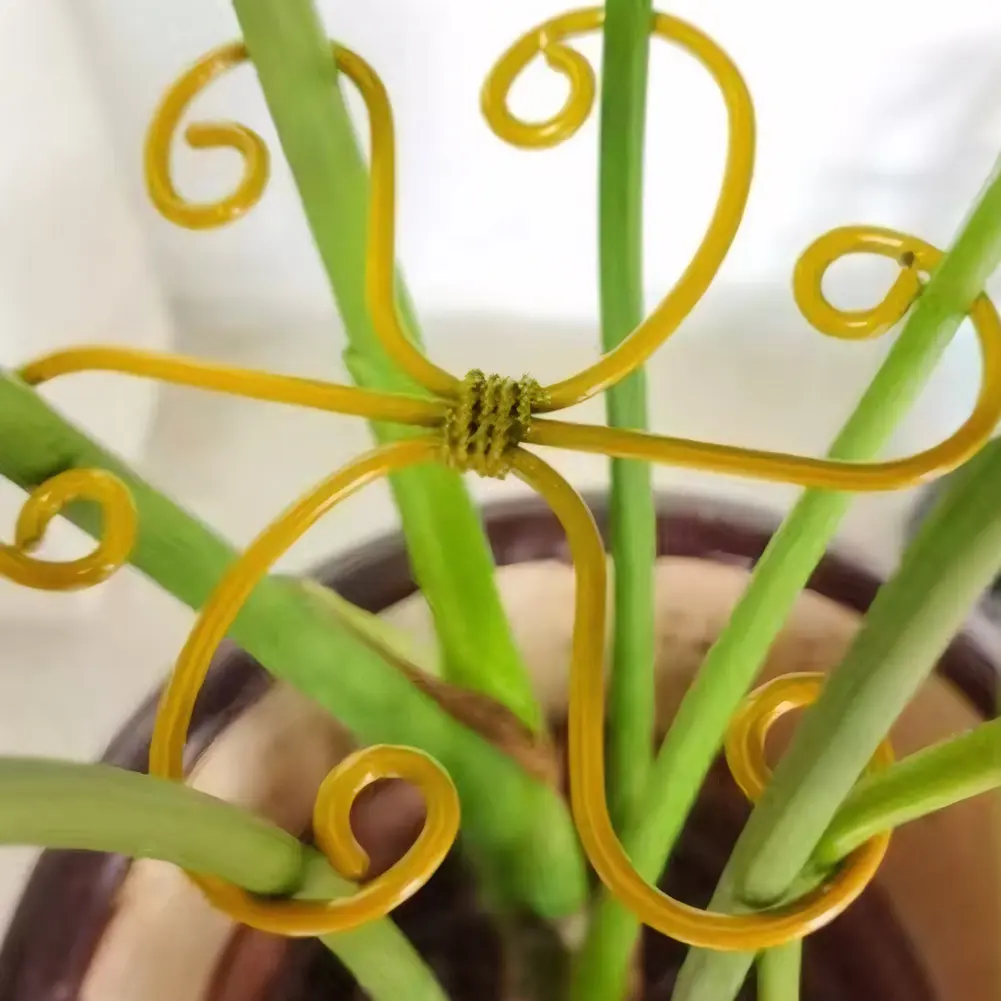 5Pcs Plant Stem Support Reusable Plant Stem Holder Plant Stabilizer for Thriving Growth
