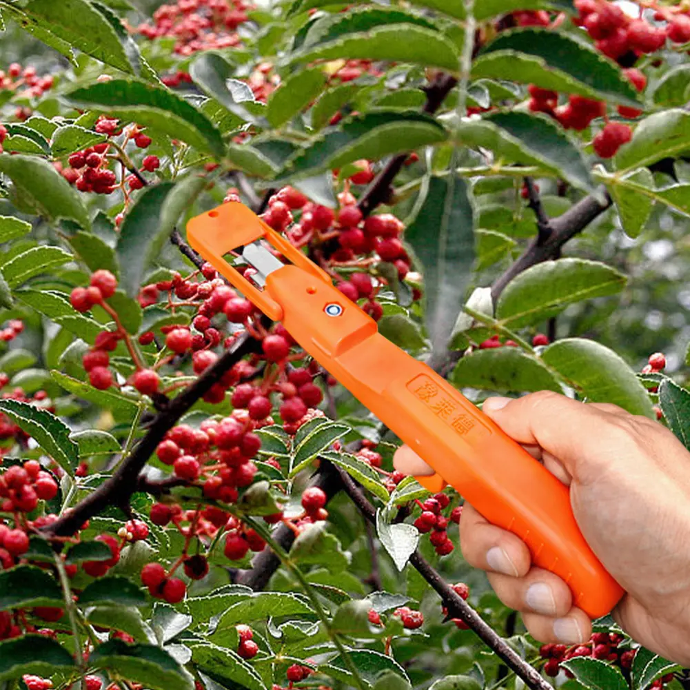 Vegetable Picking Tool Multifunctional Kitchen Chopping Gadgets Ergonomic Pepper Flower Branch Scissors for Farm Garden