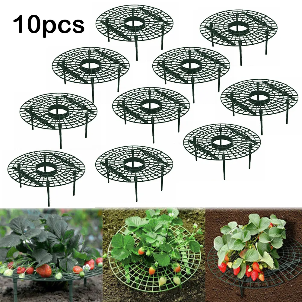 10PCS Strawberry Supports with 4 Sturdy Legs Keeping Plant Fruit Stand Keep Berries Clean Gardening Stand for Planting Accessory