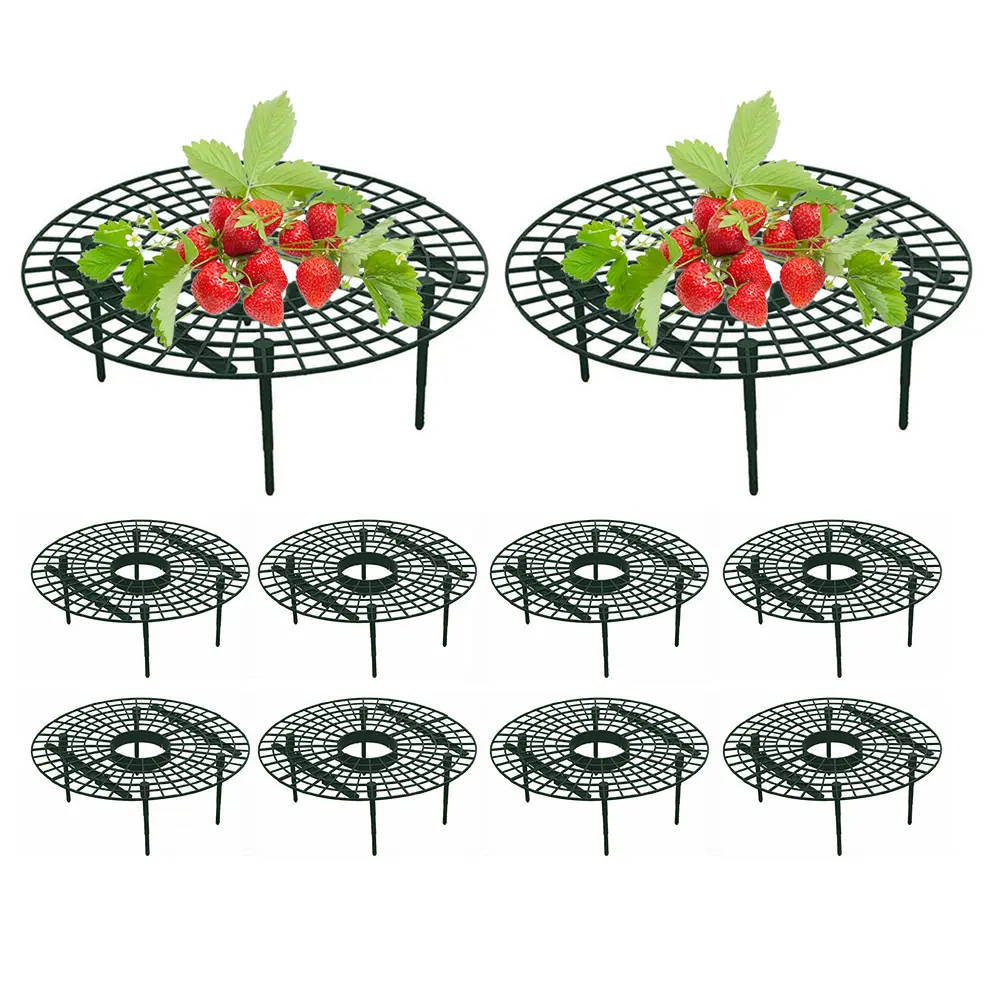 10PCS Strawberry Supports with 4 Sturdy Legs Keeping Plant Fruit Stand Keep Berries Clean Gardening Stand for Planting Accessory