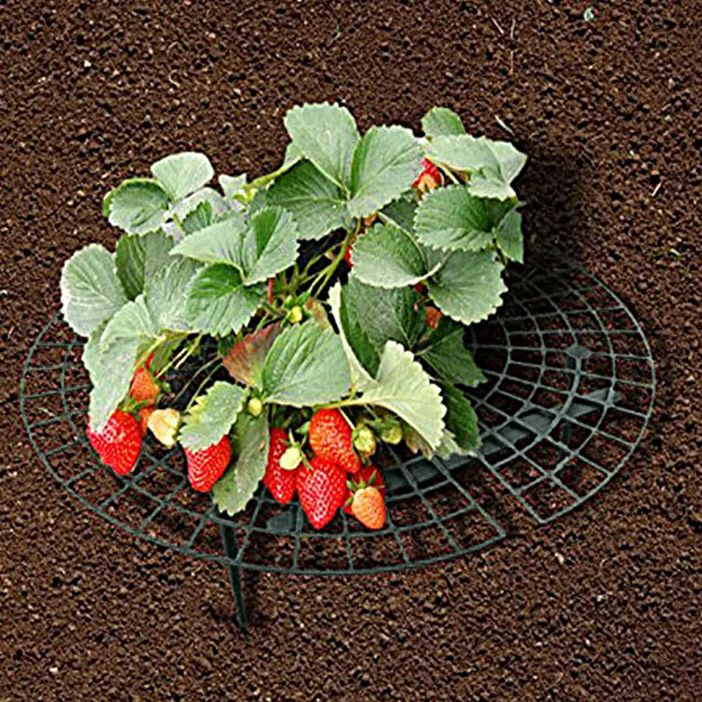 10PCS Strawberry Supports with 4 Sturdy Legs Keeping Plant Fruit Stand Keep Berries Clean Gardening Stand for Planting Accessory