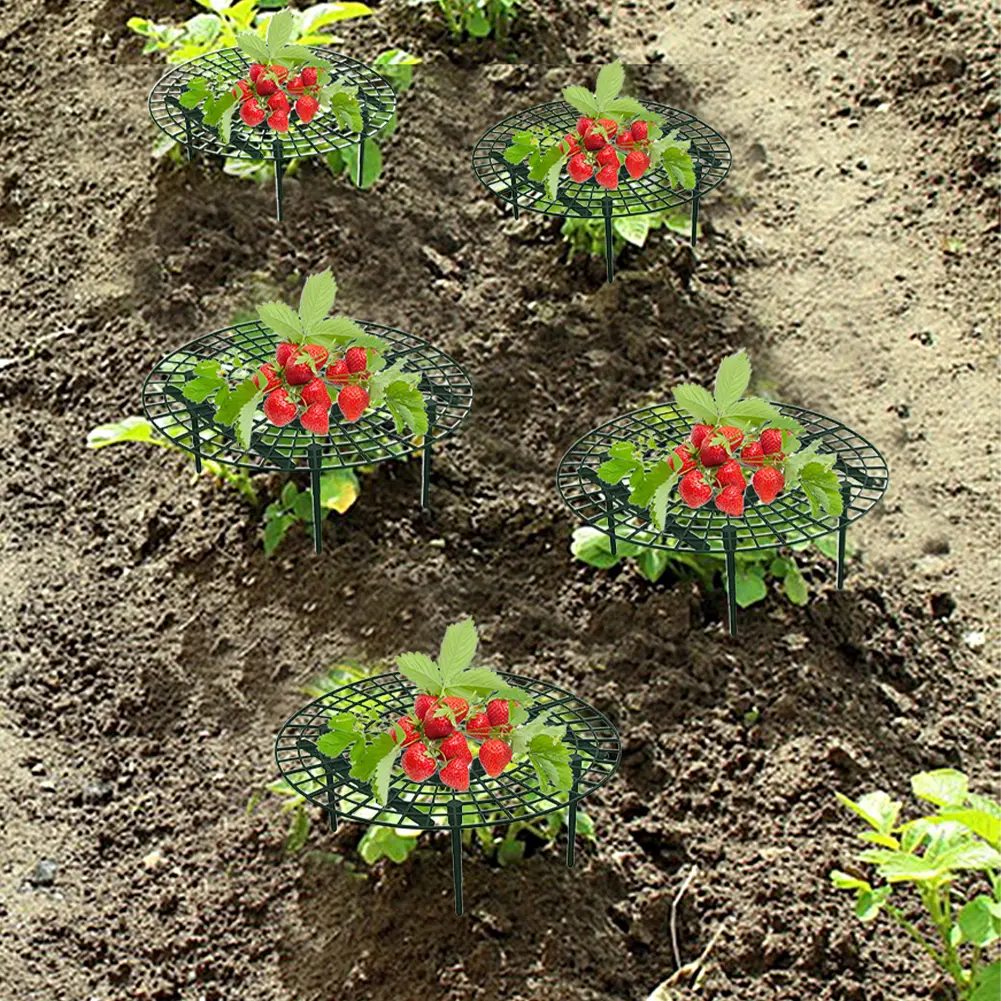 10PCS Strawberry Supports with 4 Sturdy Legs Keeping Plant Fruit Stand Keep Berries Clean Gardening Stand for Planting Accessory