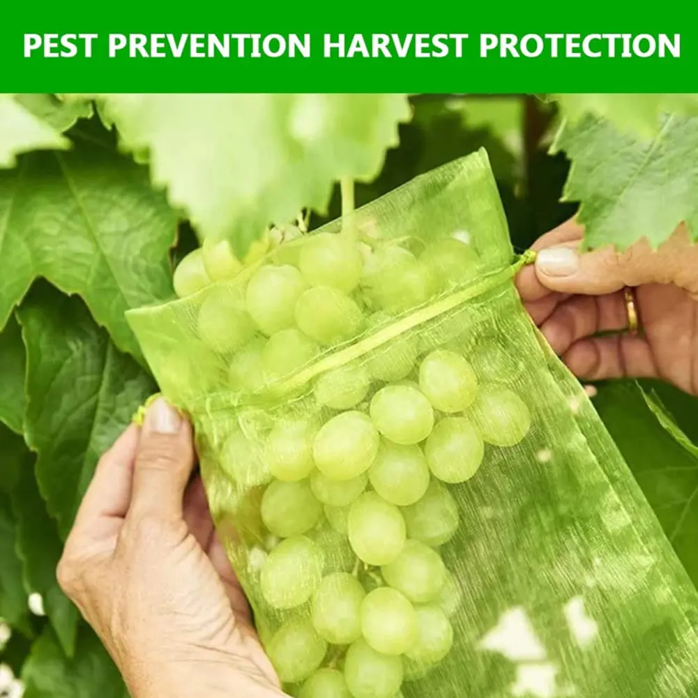 100Pcs Fruit Protection Bags Drawstring Green Fruit Netting Cover Fruit Netting Bags Protect Plants From Pest Birds Squirrels