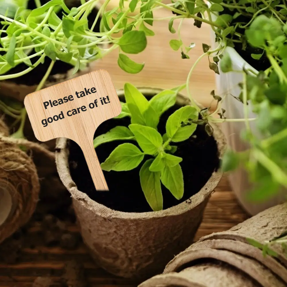50-200PCS T-Type Wooded Plant Labels Eco-Friendly Garden Bamboo Tags For Seed Potted Herbs Flowers Vegetables Waterproof Signs
