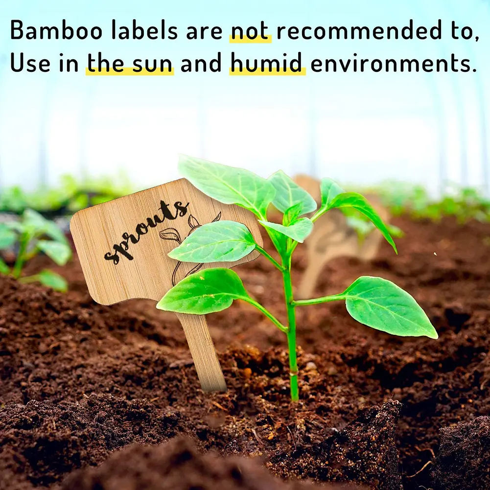 50-200PCS T-Type Wooded Plant Labels Eco-Friendly Garden Bamboo Tags For Seed Potted Herbs Flowers Vegetables Waterproof Signs