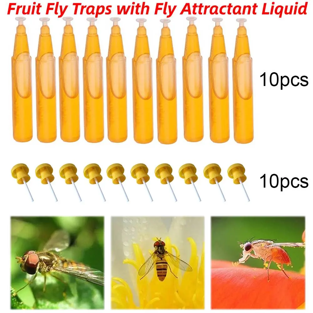 10Pcs 2ml Fruit Fly Attractant Liquid with Fruit Fly Traps Reusable Fruit Fly Killer Drosophila Attractant for Gardens Backyards