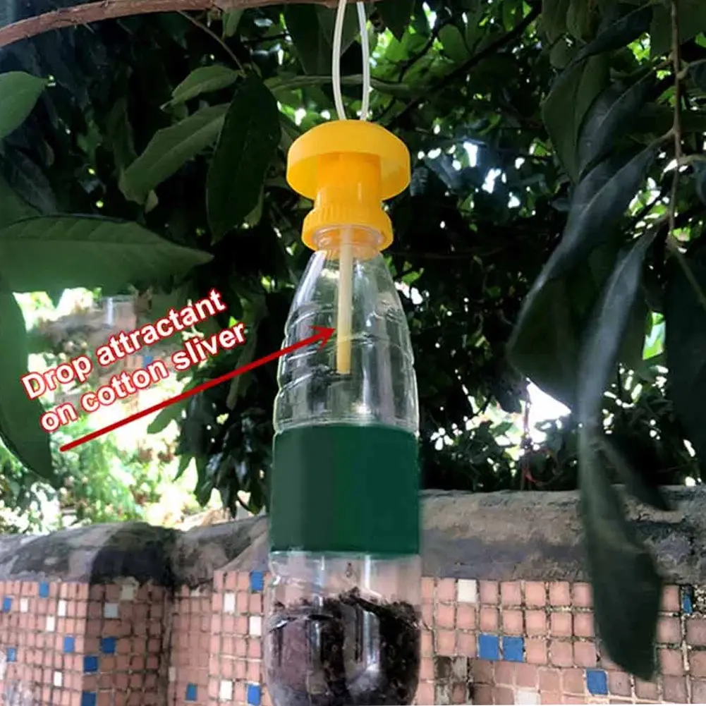 10Pcs 2ml Fruit Fly Attractant Liquid with Fruit Fly Traps Reusable Fruit Fly Killer Drosophila Attractant for Gardens Backyards