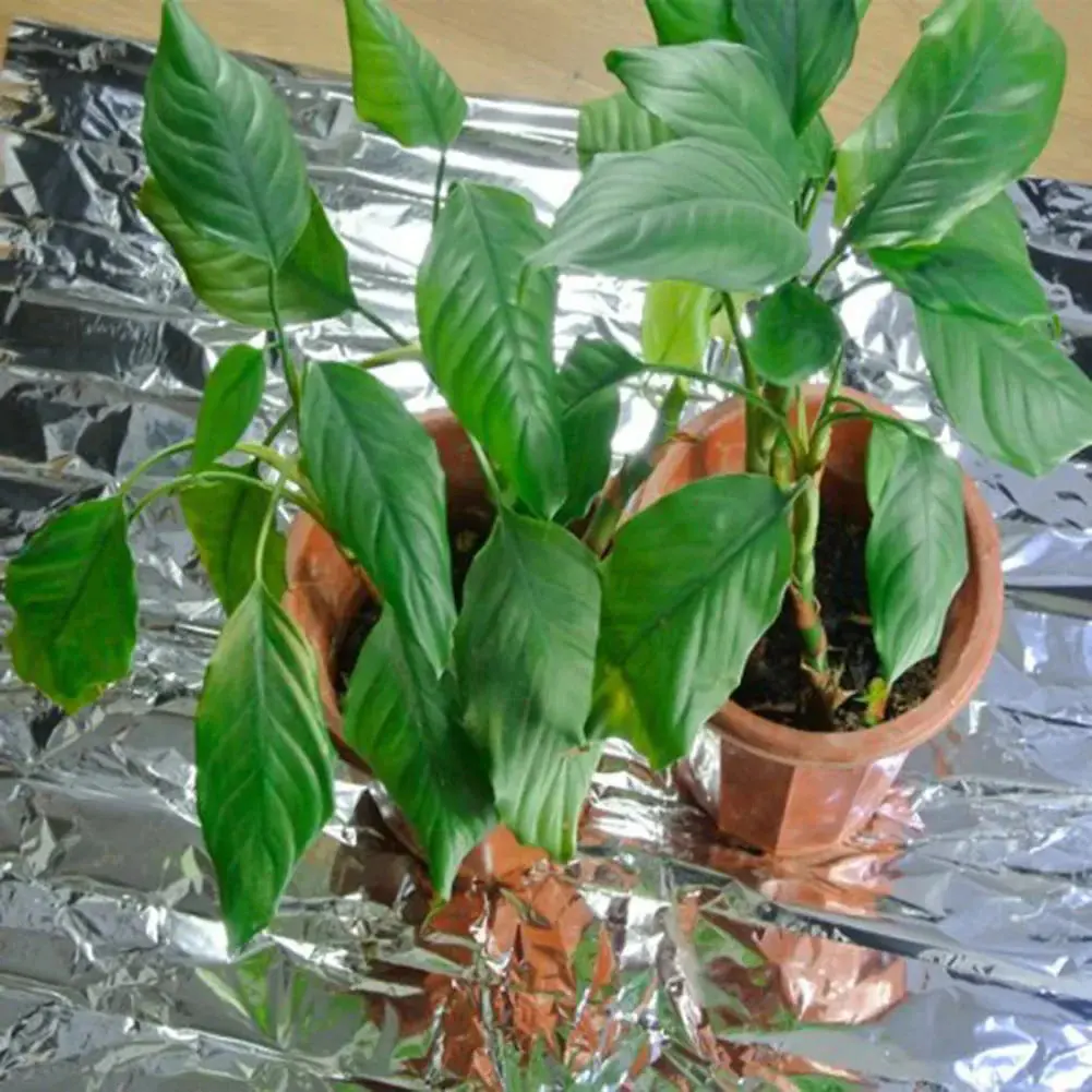 8-30PCS Silver Mylar Highly Reflective Films 210x130cm for Grow Foil Tent Room Garden Greenhouse Farming Increase Plant Growth