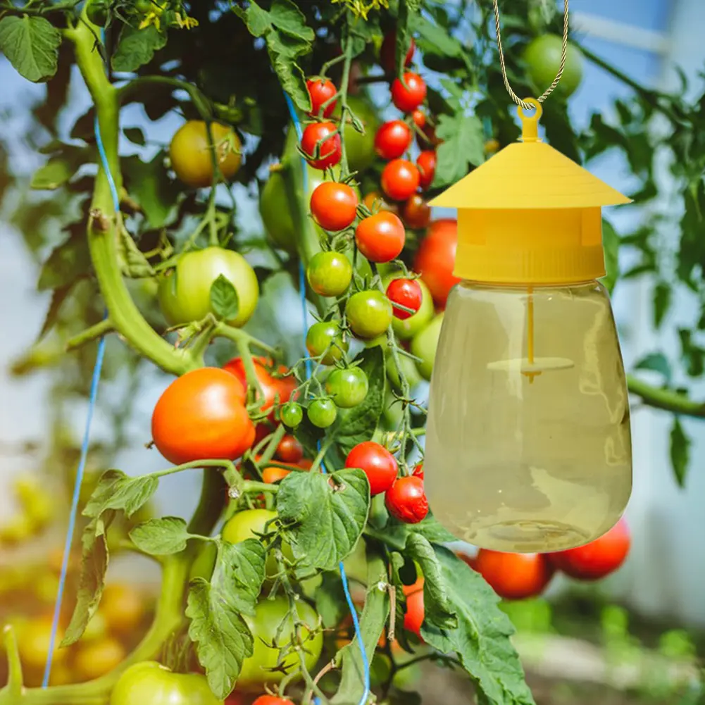 Plastic Fruit Fly Trap Killer Drosophila Trap Anti Fly Fruit Fly Killer Catcher Orchard Insect Trap Pest Control Fly Bee Trap