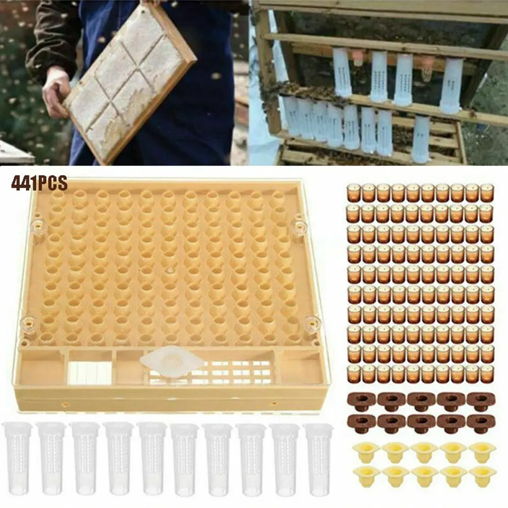 324