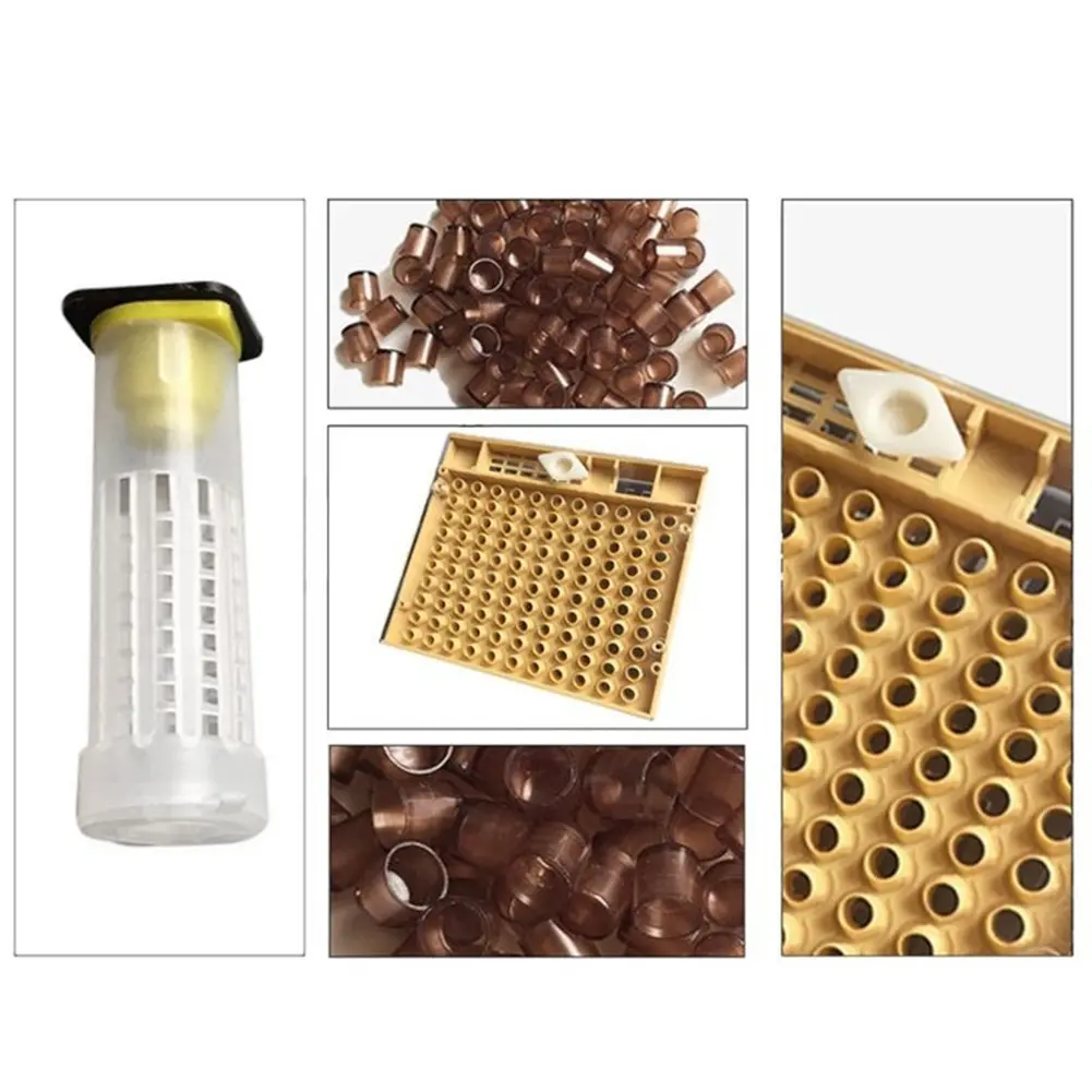 120pcs Plastic Bee Cell Cup Queen Rearing System Cultivating Box Beekeeping Tool