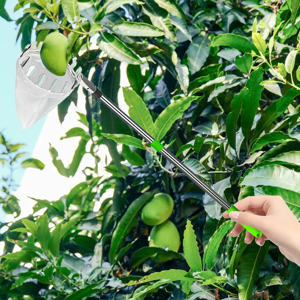 1.6-4m Adjustablet Fruit Picker Stainless Steel Device Fruit Picker With Telescopic Handle Detachable Picking Device Garden Tool