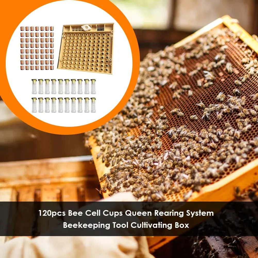 120pcs Plastic Bee Cell Cup Queen Rearing System Cultivating Box Beekeeping Tool
