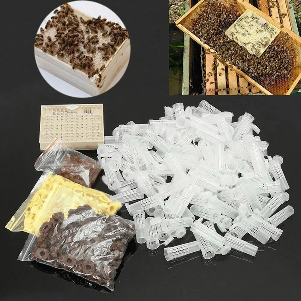 120pcs Plastic Bee Cell Cup Queen Rearing System Cultivating Box Beekeeping Tool