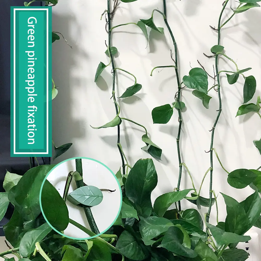 50-300PCS Buckle Leaf Clips Plant Climbing Wall Fixed Buckle Leaf Shaped Clips Self-Adhesive Flower Vine Climber Support Parts