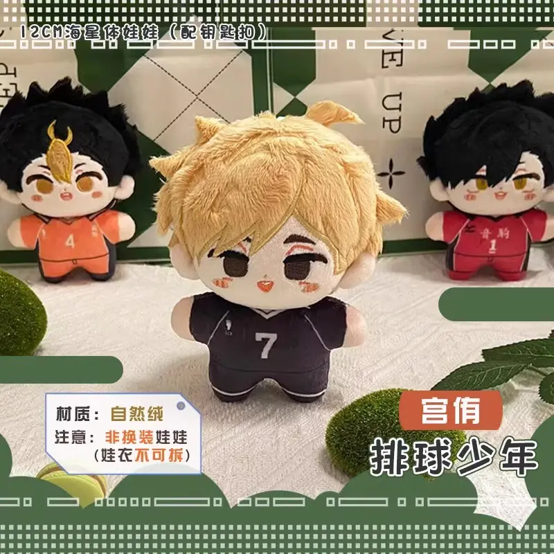 Haikyuu Volleyball Plush Doll Kozume Kenma Shoyo Hinata Tobio Kageyama Sugawara Koushi kids toy gift Small pendants Key Chain