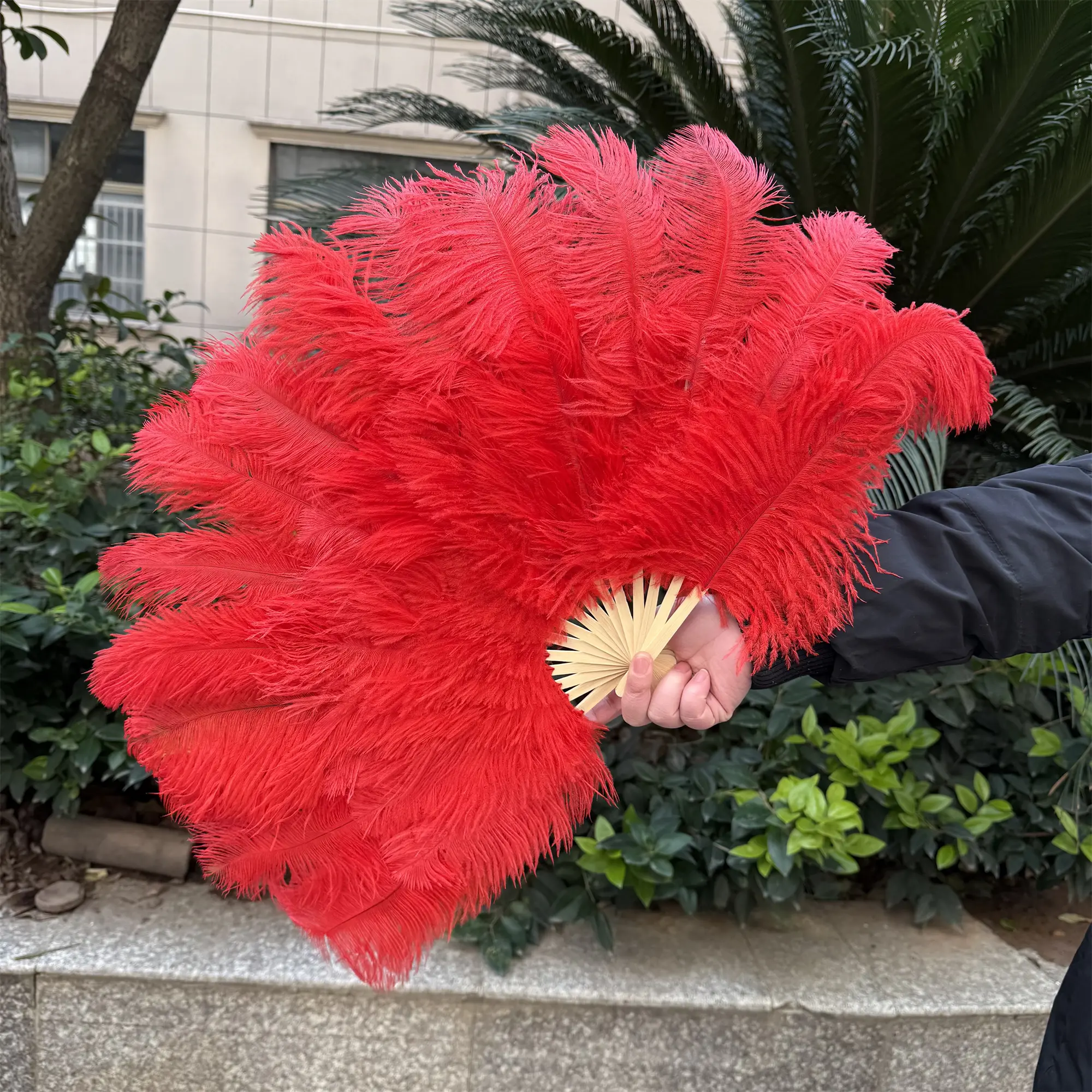 15Bone Red Ostrich Feather Fan 70CMx40CM 15Bone Fluffy Rose Fan for Wedding Party Stage Play & Dance Performance Accessories