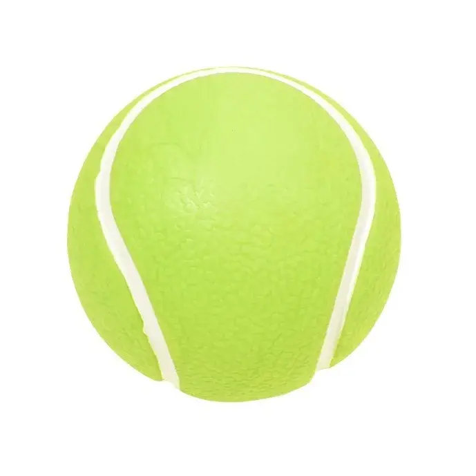 Dogs Interactive Toys Soft TPR Dog Toys for Small Dogs Pet Teeth Cleaning Bite Resistance Squeaky Dog Ball Toy