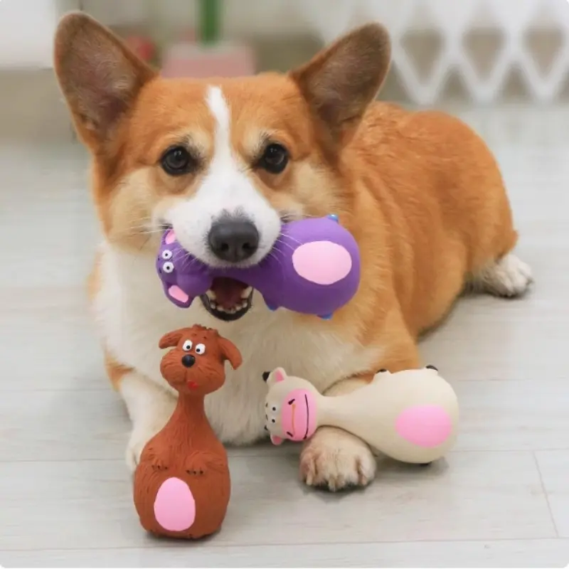 Soft Rubber Chew Toys Three styles of squeaky, interactive throwing games Cute and fun for small to medium sized dogs!