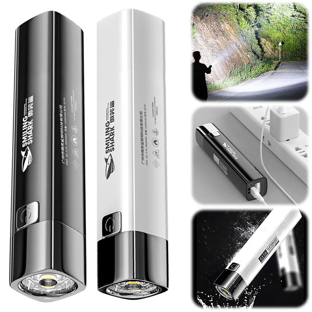 10 Pack Flashlight Rechargeable with 3 Modes LED Flashlight Mini Camping Flashlight Waterproof Flash Light for Emergency Home