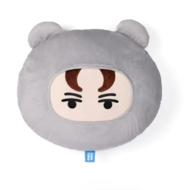 Kpop Miniteen Plush Pillow Kawaii Cartoon Animal Plushie Doll Toys Cute Stuffed Animal Throw Pillows for Bed Sofa Couch Decor