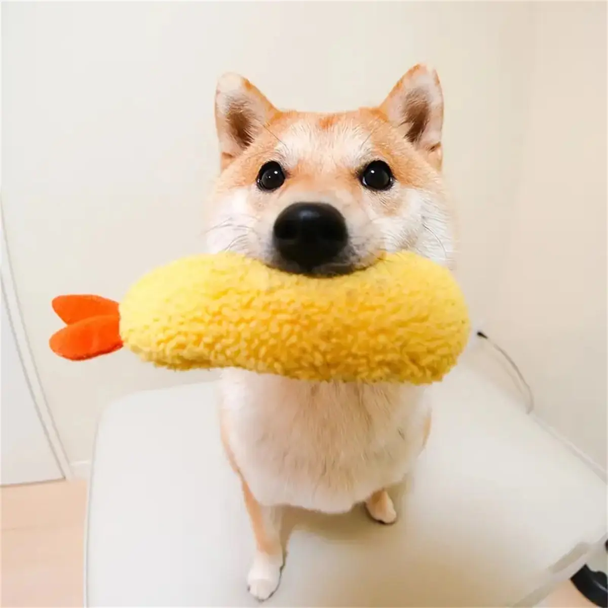 324