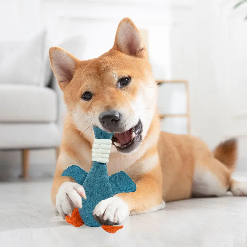 Pet Toys Wild Goose Resistant Squeaky Toys for Small Middle Large Dogs Chew Teeth Cleaning Toys Pet nteractive Training Supplies