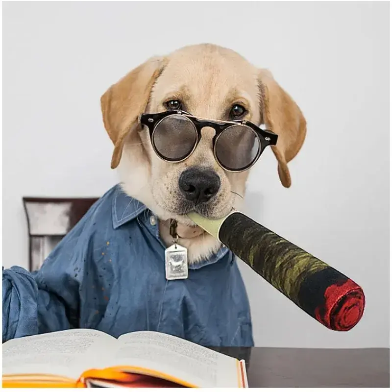Dog Joint Toys Funny Interactive Dog Cigar Design Plush Squeaky Pet Toys Grinding Teeth Creative Chew Toy For Small Medium Dog