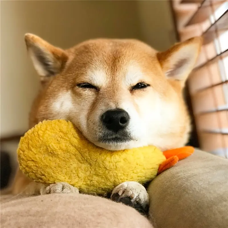 2pcs/1pc Tempura Fried Shrimp Shape Dog Toy: Bite-Resistant Chew Toy for Indoor Dogs & Cats