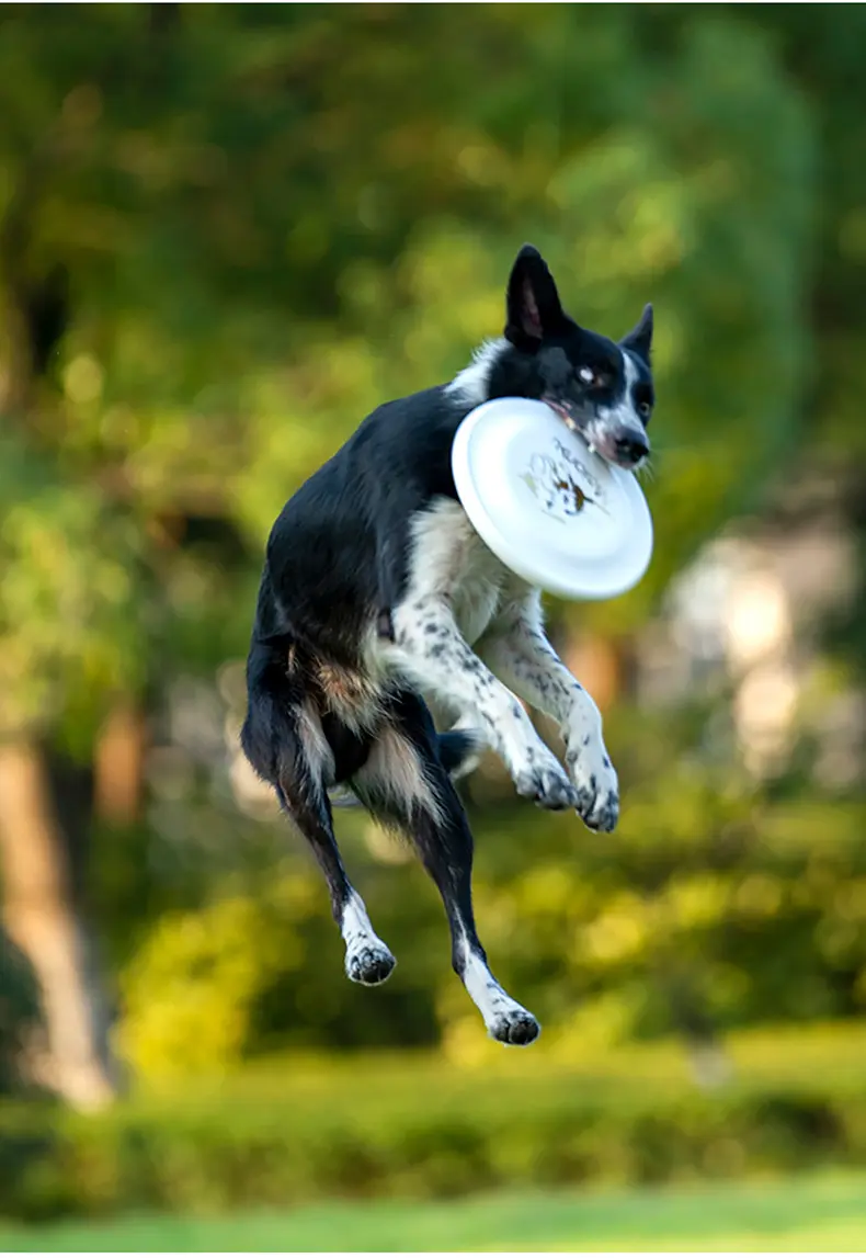 OUZEY Bite Resistant Pet Training Flying Disc Toys For Dogs Interactive Outdoor Puppy Training Aids Toys Pet Dog Accessories