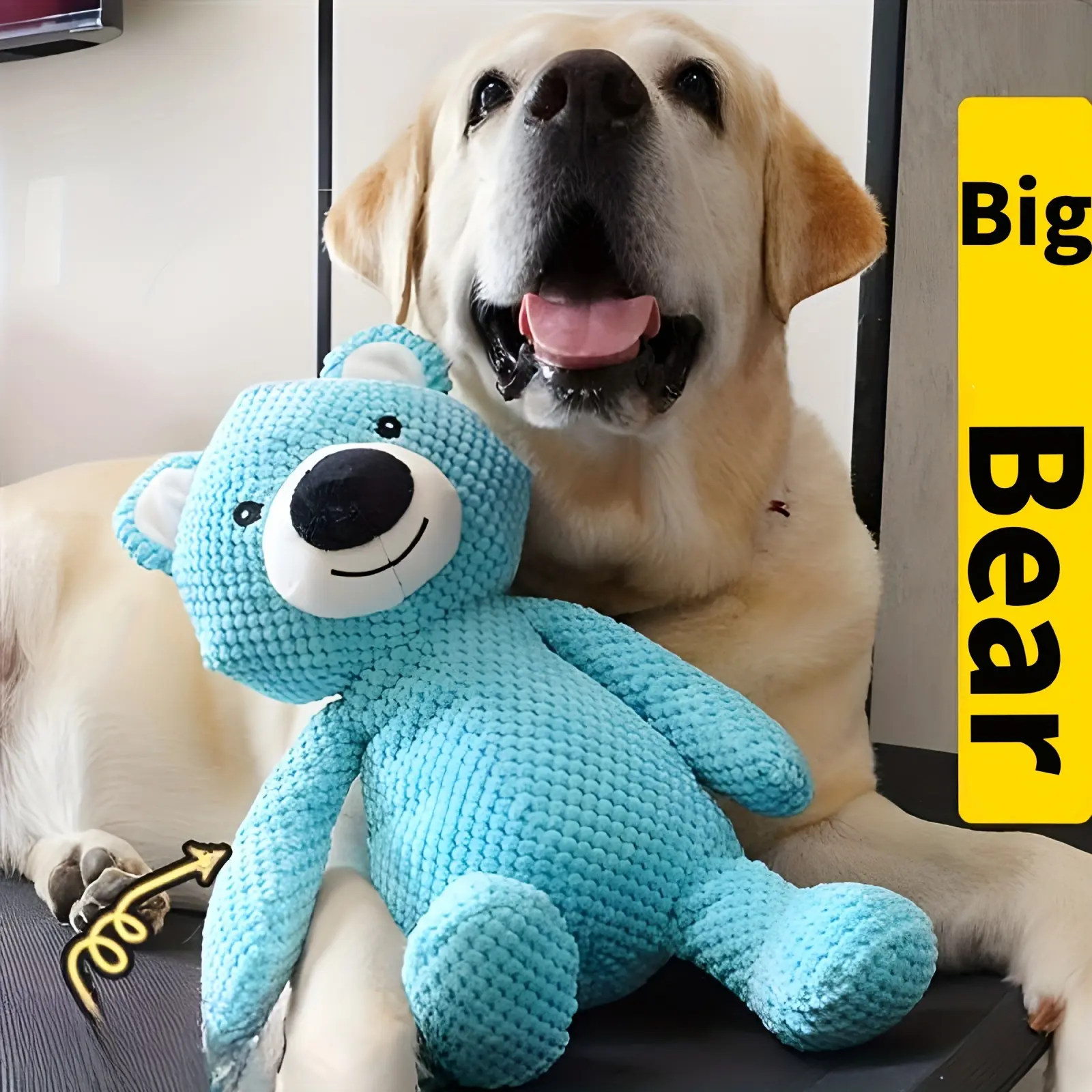 1pc Soft and Durable Cute Blue Bear Plush Toy for Dogs,Interactive Chewing,Squeaky Pet Companion,Cartoon Design