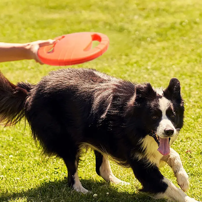 Dog Flying Discs Frisbe E Game for Dog Toys for Puppies Large Interactive Toys Resistant Dog Toy GWJ09