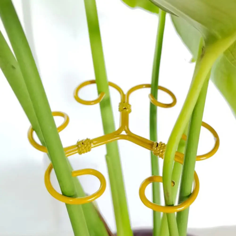 5Pcs Plant Stem Support Reusable Monstera Plant Support Plant Stem Holder Plant Stabilizer for Thriving Growth