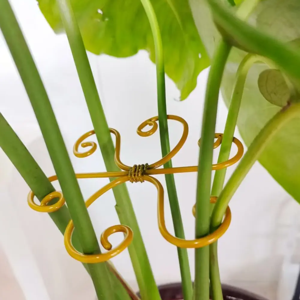 5Pcs Plant Stem Support Reusable Monstera Plant Support Plant Stem Holder Plant Stabilizer for Thriving Growth