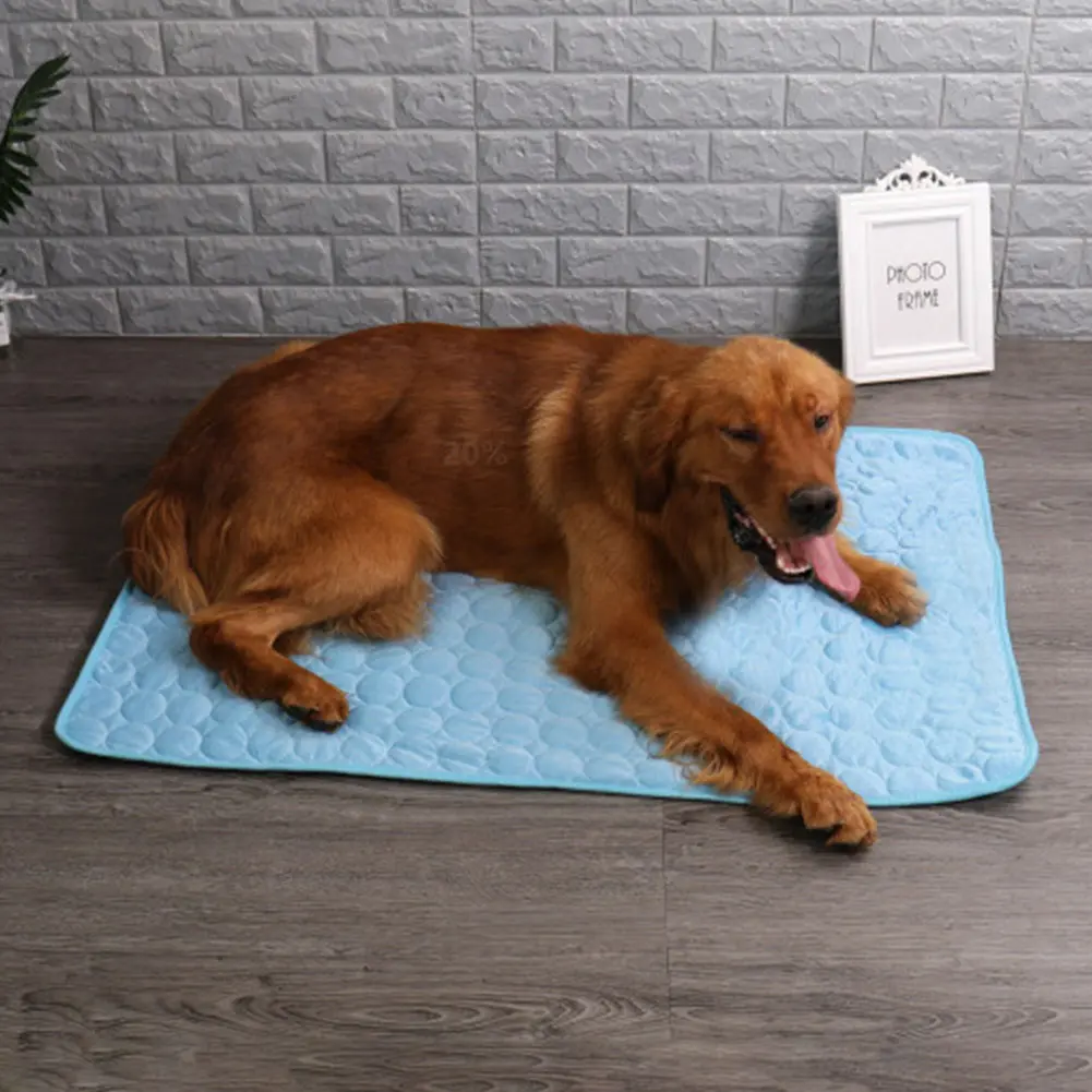 Summer Dog Cooling Mat Sleeping Cushion for Dogs & Cats Pet Mat Dog Cooling Pad Soft Breathable Pet Bed Pets/Dogs/Cats Supplies