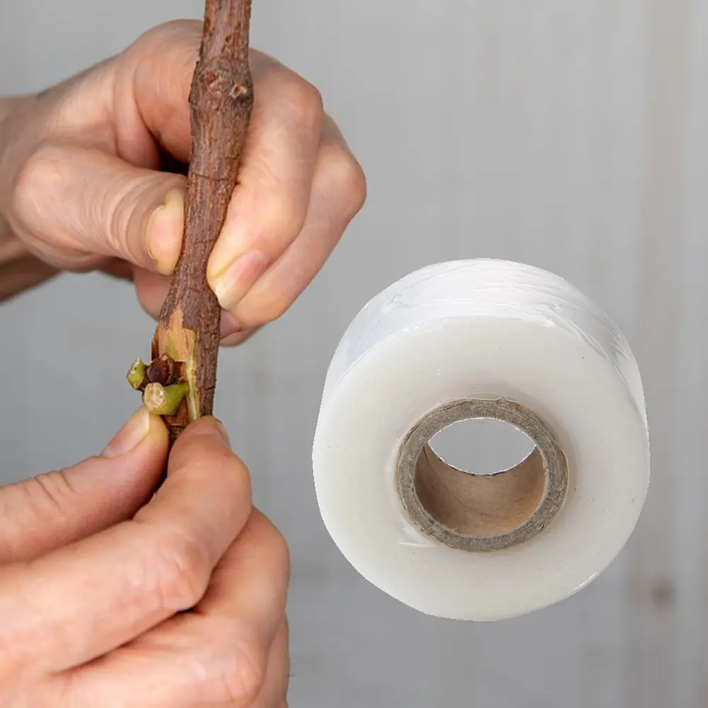 8/6PCS 3cm*200m Grafting Tape Stretchable  Self-Adhesive Plants Repair Budding Tapes Grafting Tape Film Plant Repair Tapes Tools