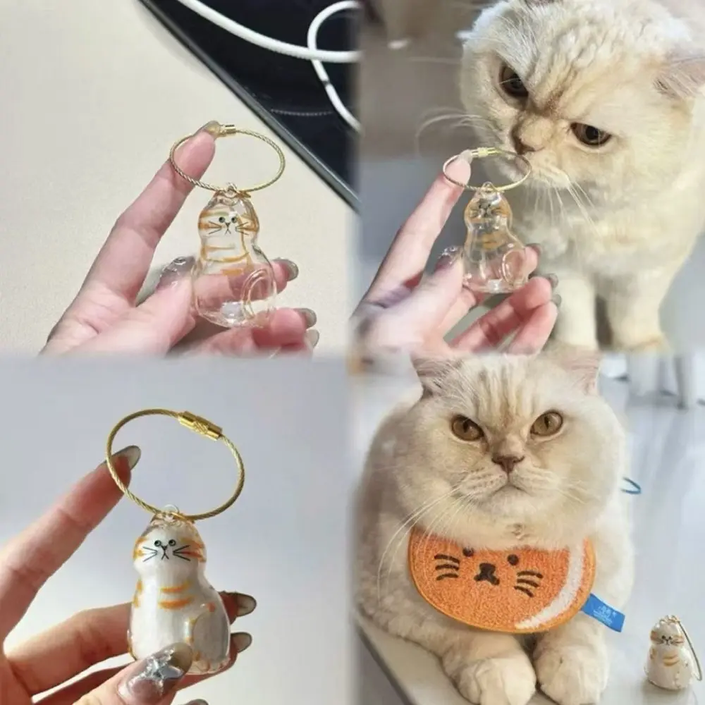 Transparent Cat Hair Storage Box Pet Fur Keepsake Capsule Pet Hair Grooming Souvenirs Cat Keychain Pendant for DIY Memorial Gift