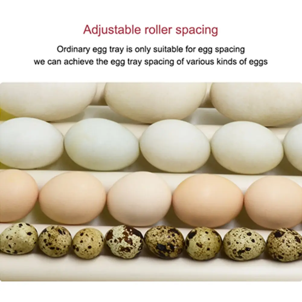 Automatic 360° Rotary Egg Turner Roller Tray 42/56/156 Eggs Hatching Incubator Farm Incubation Tool Duck Quail Bird Accessory