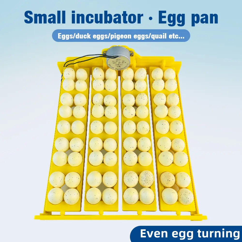 Automatic Egg Incubator Bird Eggs Poultry Duck Chicken Eggs Hatching Machine Plastic Trays with Auto Turn Motor 220V
