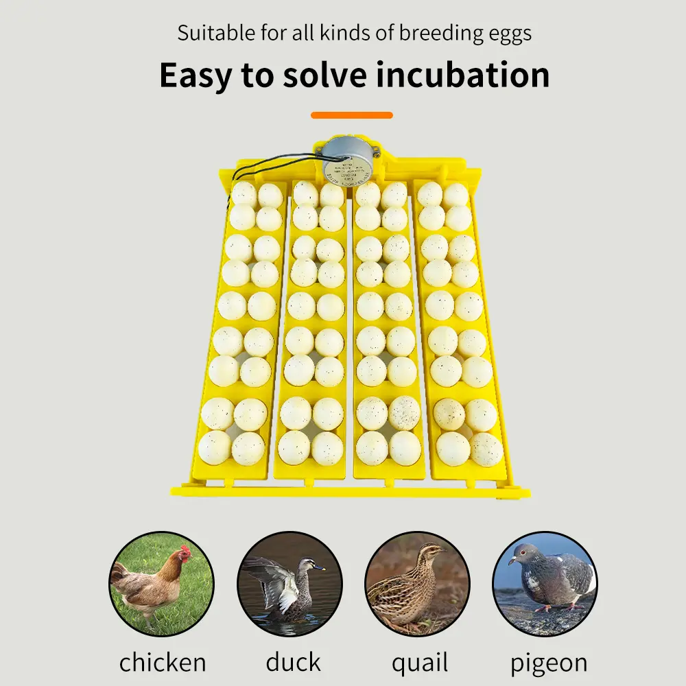 Automatic Egg Incubator Bird Eggs Poultry Duck Chicken Eggs Hatching Machine Plastic Trays with Auto Turn Motor 220V
