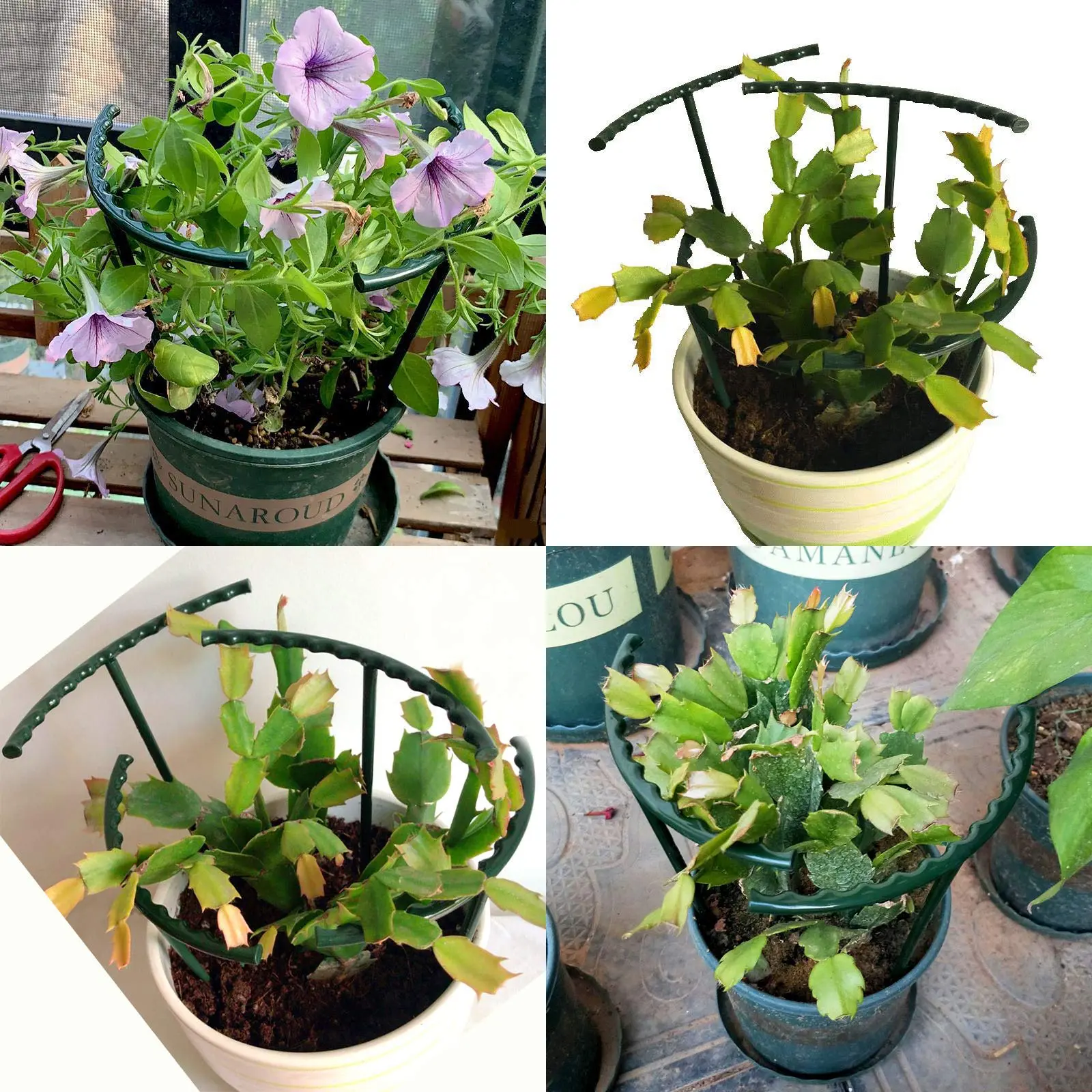 2/4/8PCS Plastic Plant Support Pile Frame Greenhouse Arrangement Semicircle Fixed Rod Indoor Flower Plant Vine Climbing Bracket