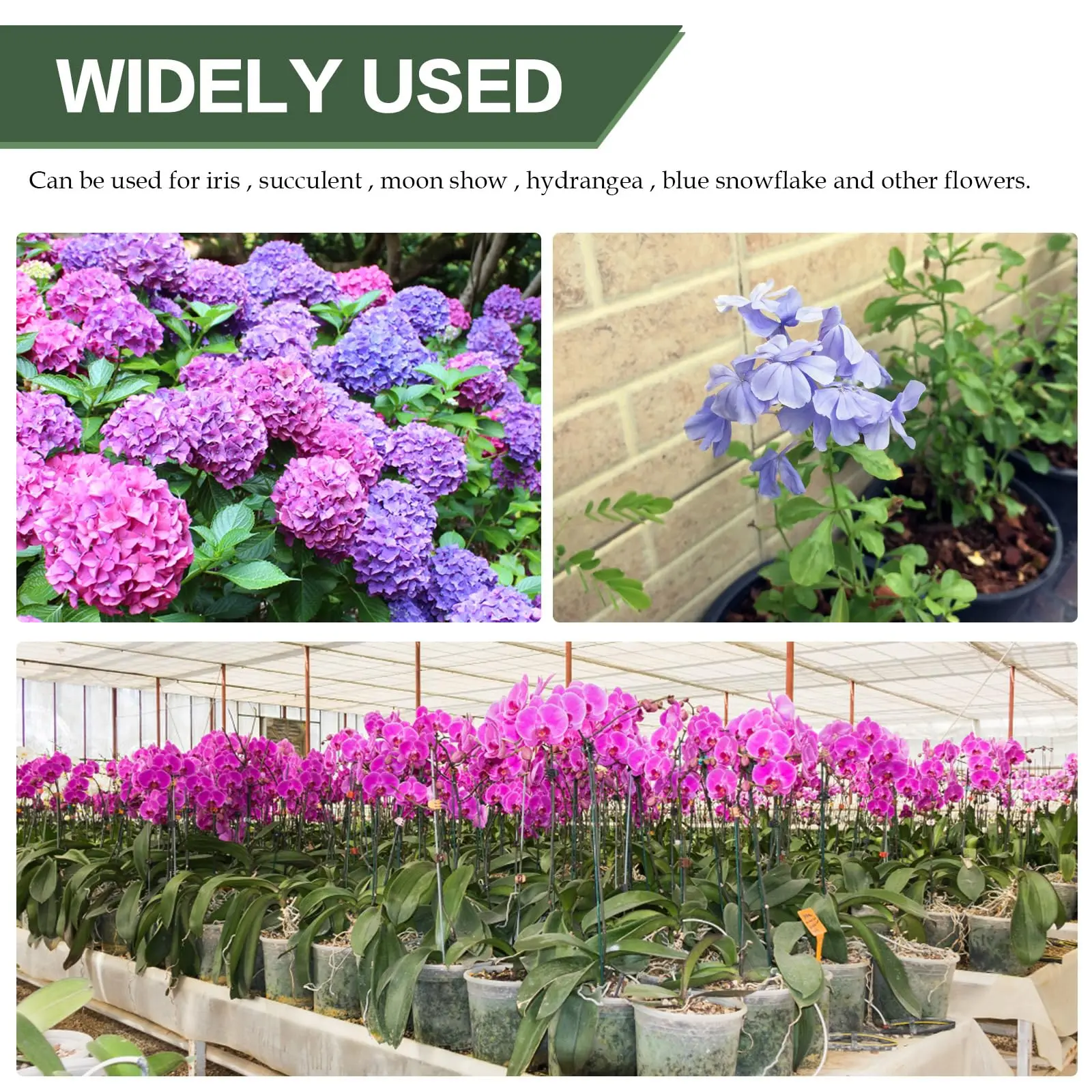 2/5/10pcs Plastic Plant Supports Flower stand Reusable Protection FixingTool Gardening supplies For Vegetable Holder Bracket