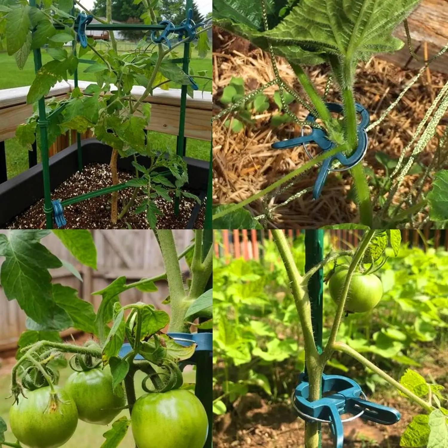Plant Fixed Clips Reusable Garden Greenhouse Bracket for Fixed Plants Vine Flower Seedling Tomatoes Support Garden Supplies