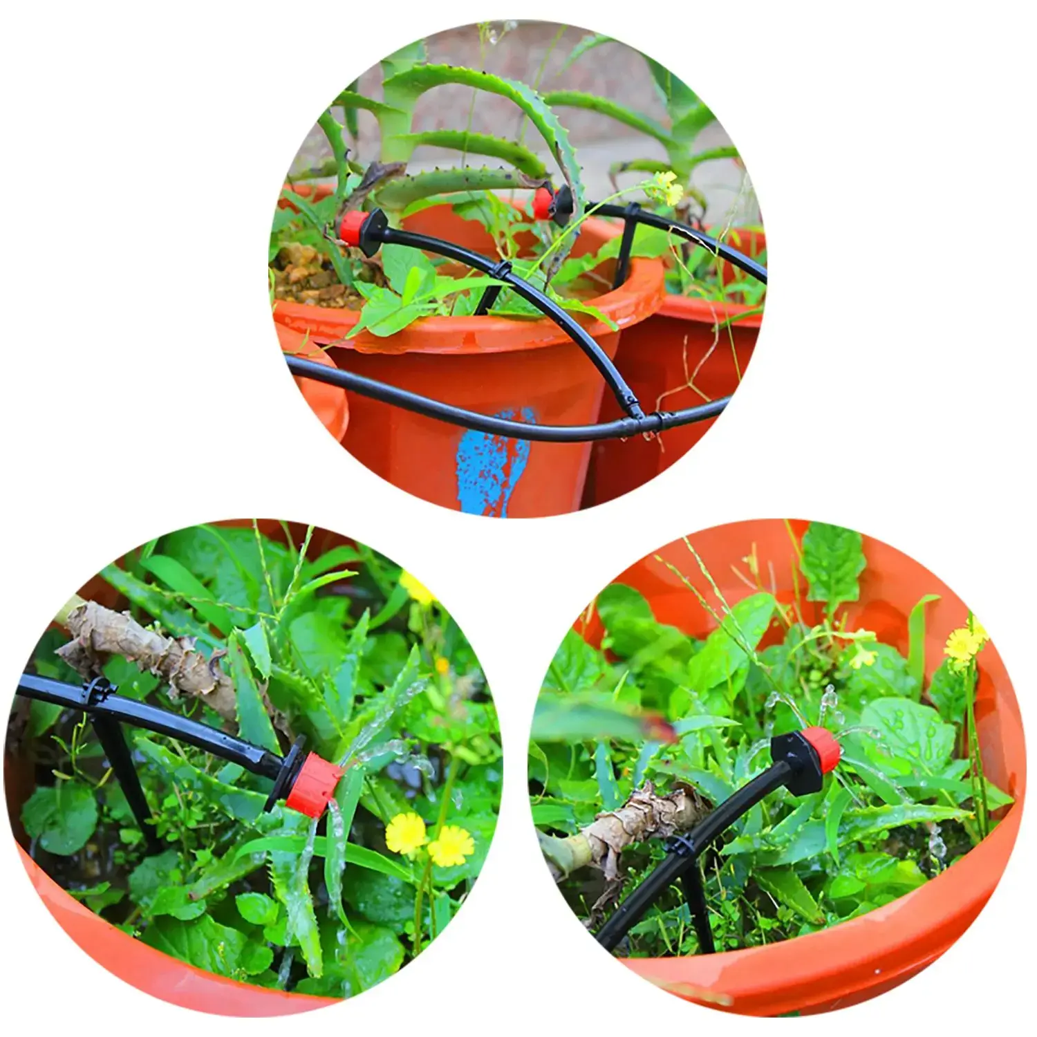 50Pcs Irrigation Drip Support Stakes C- Shape Fixed Stems Holder Bracket for 4/7mm Drip Irrigation Pipe Inserting Ground